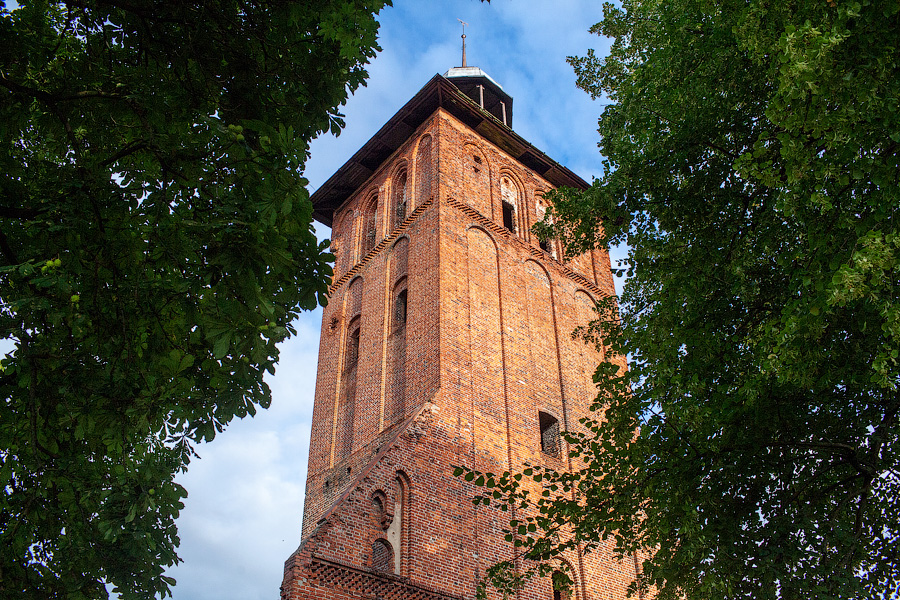Фото: Виталий Невар / Новый Калининград