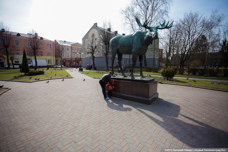 800 тысяч на подарки: директора МУП в Гусеве подозревают в хищении