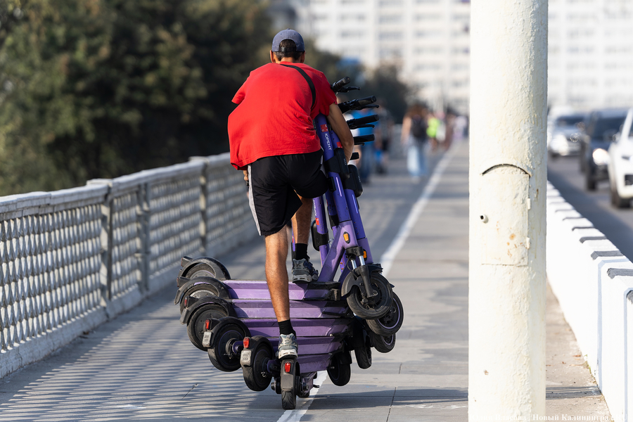 «Летний бонус в сентябре»: как прошла неделя температурных рекордов (фото)