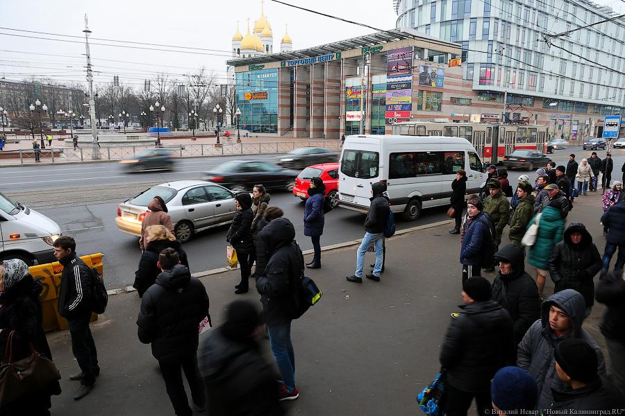 Жертвы транспортной войны: как калининградцы на работу добирались (фото)