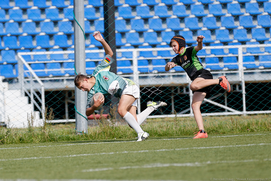 С овальным мячом: как в Калининграде прошёл турнир по регби (фото)