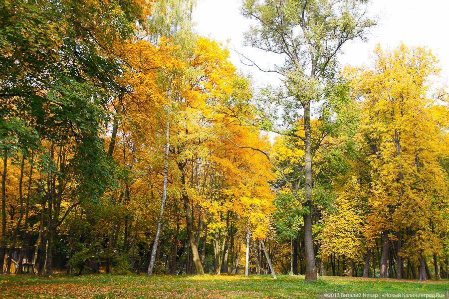 Синоптики обещают калининградцам тёплую и солнечную рабочую неделю