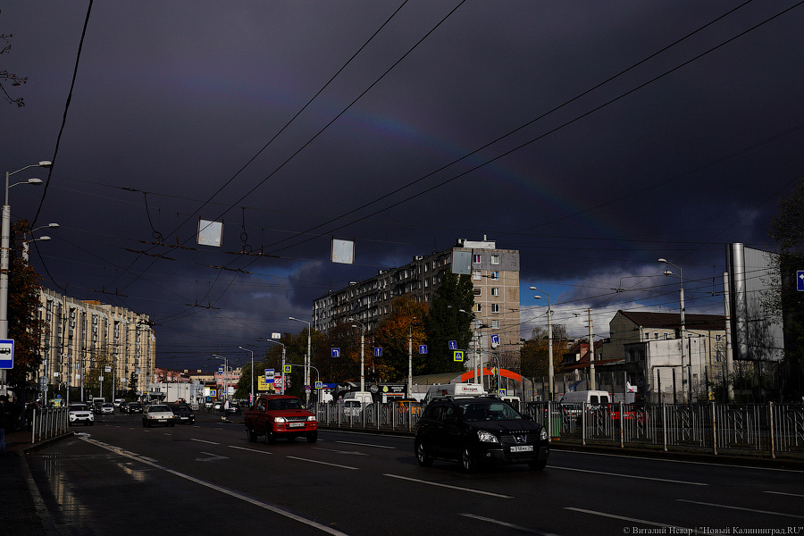 Другой берег улицы: Калининград затопило после шторма (да, опять)