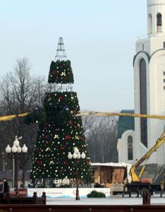 В среду в Калининграде начнут устанавливать новогоднюю елку