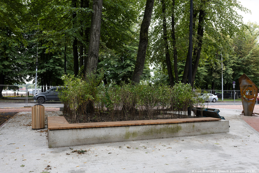 Почти готов, но дата открытия под вопросом: как сейчас выглядит Каштановый парк (фото)