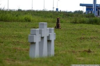 Власти хотят поставить памятный знак Первой мировой на Моспроспекте