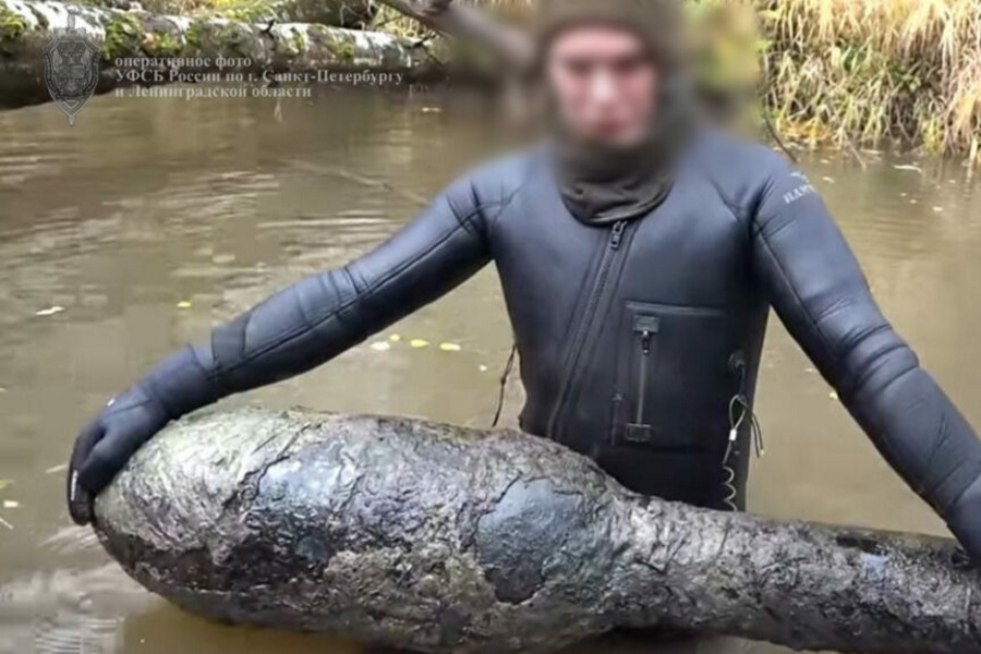 Задержанный под Калининградом поисковик-блогер получил 4,5 года колонии (фото)