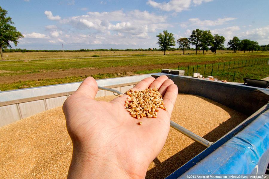 «Я все пью, а мне все хуже»: как Краснознаменск встретил Николая Цуканова