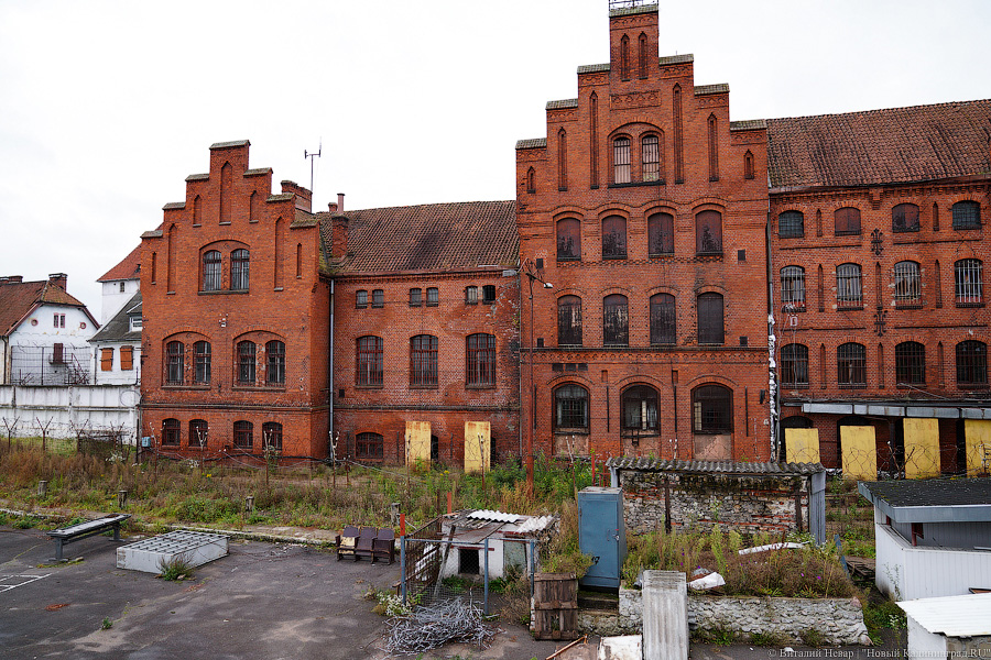 Фото: Виталий Невар / Новый Калининград