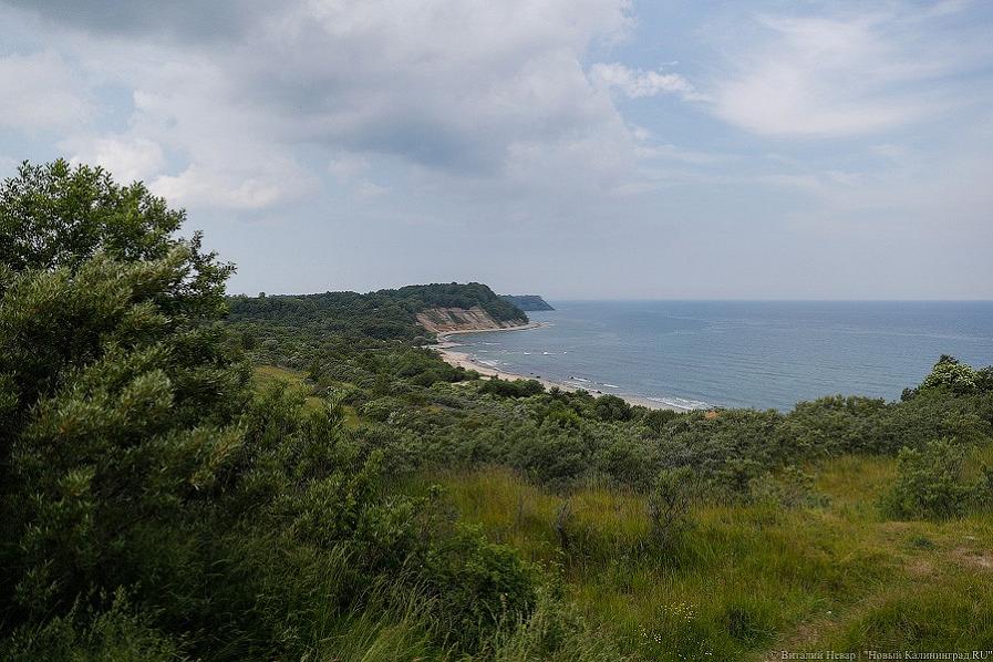 Активисты призывают участвовать в публичных обсуждениях судьбы Филинской бухты онлайн