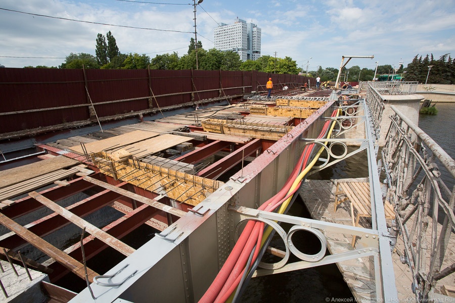 Фото — Алексей Милованов, «Новый Калининград.Ru»