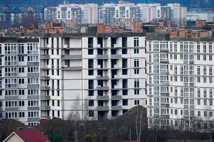 Фото: Виталий Невар / Новый Калининград 
