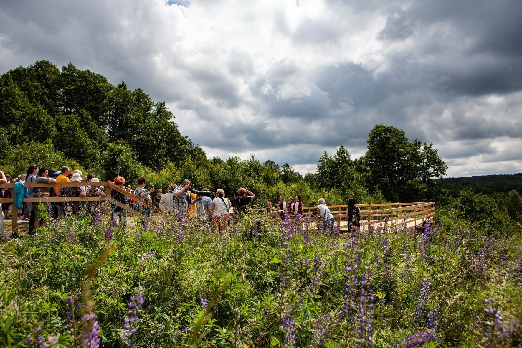 Роминтский ковчег: над холмами Краснолесья открыли смотровую площадку
