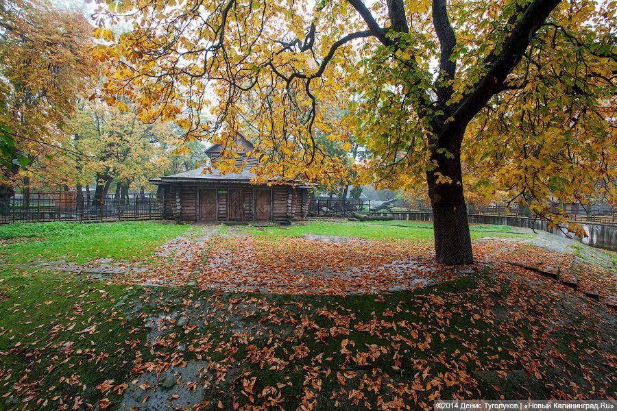 Звериные тропы: прогулка по зоопарку