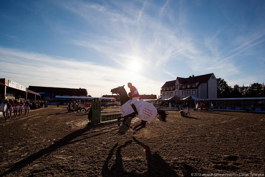 «Кубок президента РФ для немцев»: фоторепортаж с турнира по конкуру в Георгенбурге