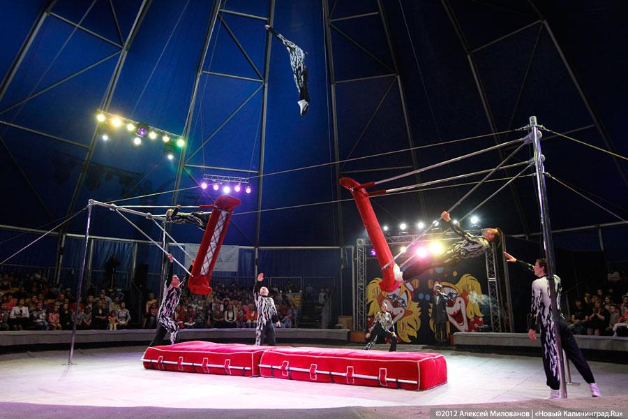 «Цирк в подарок»: фоторепортаж c премьеры цирковой программы