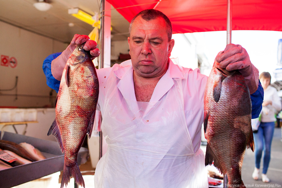 Треска из Пионерского, лещ из Полесска: что такое калининградская кухня