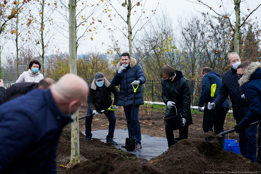 Алиханов заявил, что созданию зеленого каркаса в Калининграде мешает городская инфраструктура