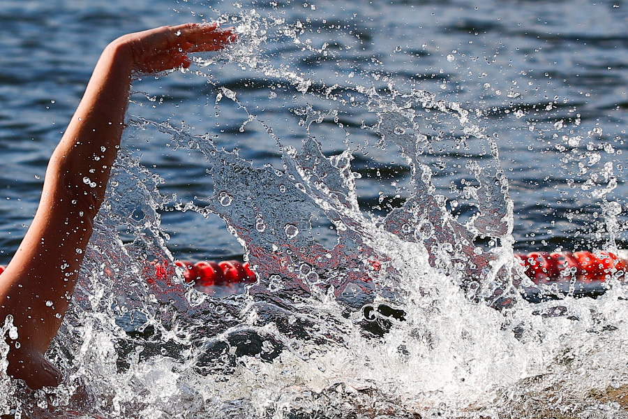 Время моржей: в  Калининграде прошли соревнования по зимнему плаванию (фото)