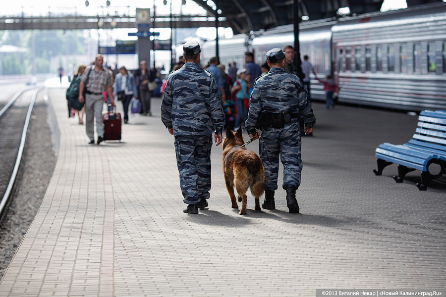Полицейские-транспортники пресекли сбыт героина и «соли» в крупном размере