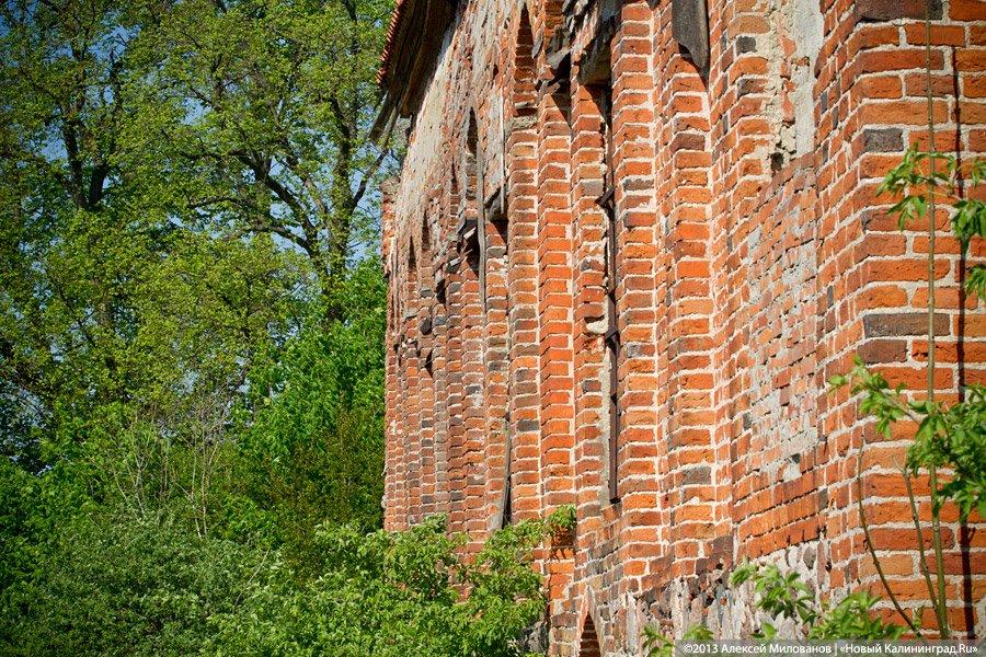 «Фрески и аисты»: вокруг кирхи в посёлке Кумачево идёт судебная тяжба