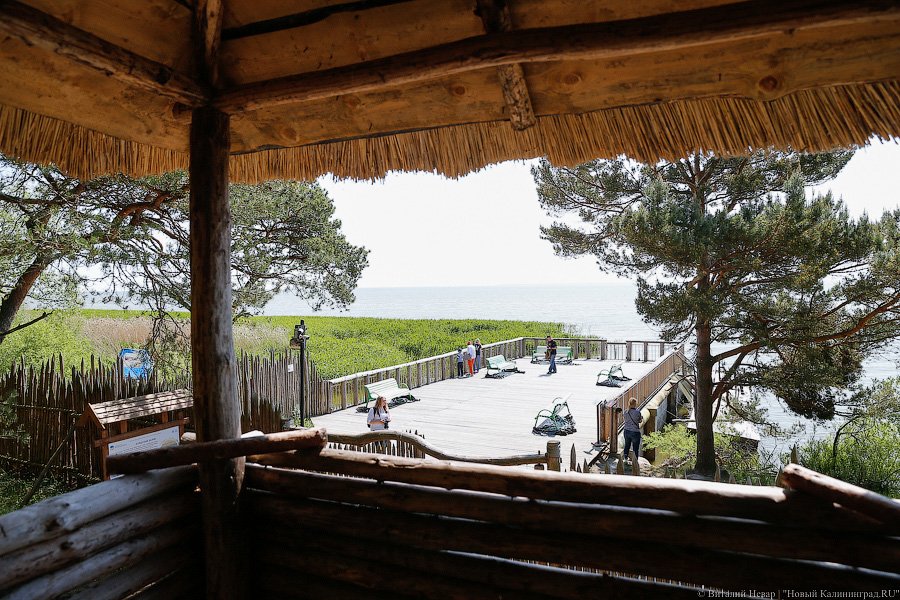 Олаф и его хирд: деревня викингов на Куршской косе стала обитаемой