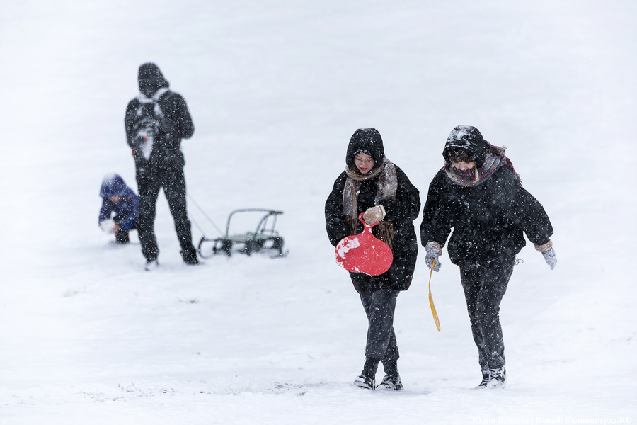 Пролетая на ватрушке: как в Центральном парке катаются с горки вопреки запретам (фото)