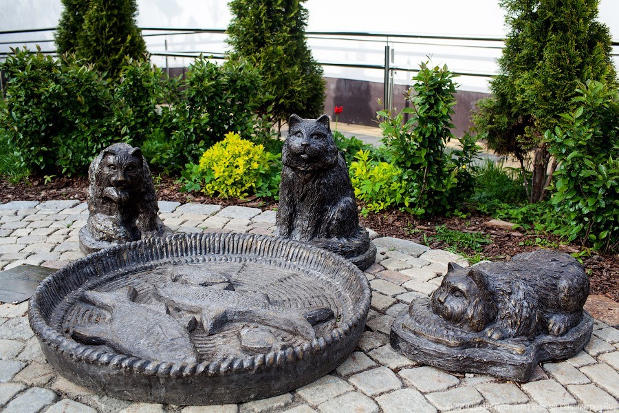 В Зеленоградске приступают к благоустройству городского парка