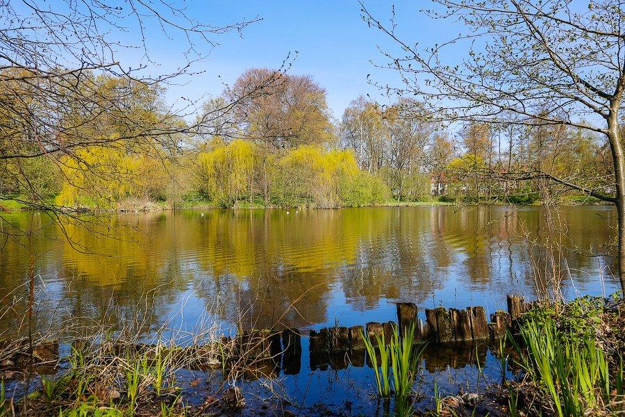 Пастораль ручной работы: весенний Ботанический сад