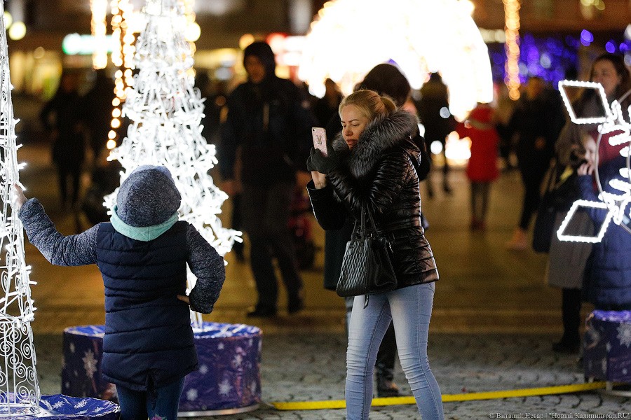 Открути оленю ушко: центр Калининграда украсили к Новому году (фото)