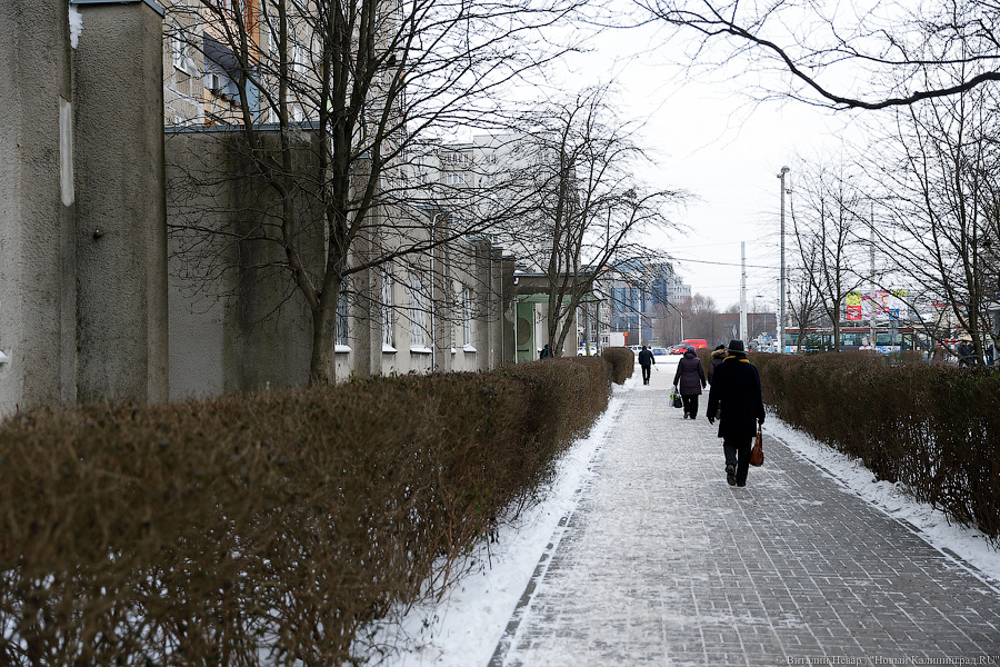 Лучше не болеть: в детской поликлинике № 6 затеяли ремонт в разгар эпидемии