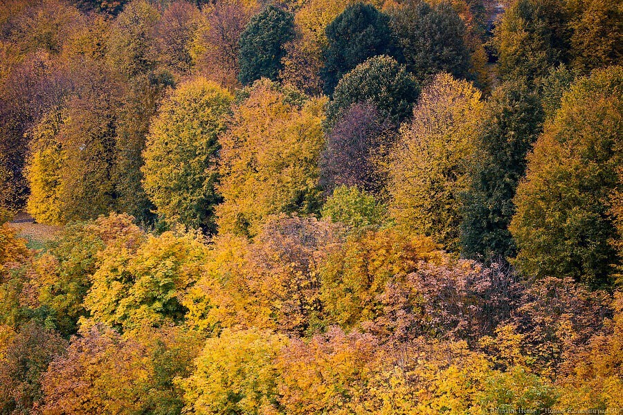 «Кол с минусом»: охотники и депутаты раскритиковали процесс выдачи лицензий