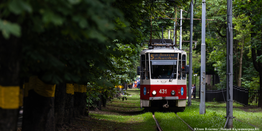 Новости Калининграда: ущемление трамваем, «удушение» Сербией и сплочение бриджем