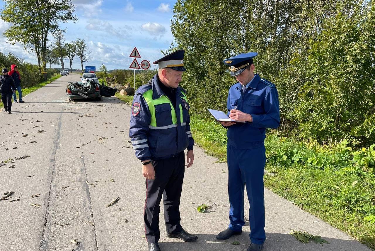 Прокуратура проверяет ГИБДД и управление дорхозяйства после падения дерева на машину под Гурьевском