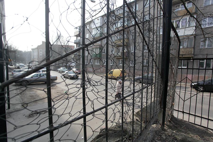 Фото — Денис Туголуков, «Новый Калининград.Ru»