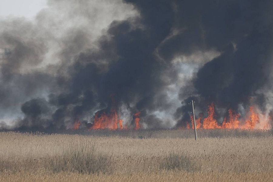 «Тушение затруднено сложностью подхода»: в МЧС прокомментировали пожар на Острове (фото)