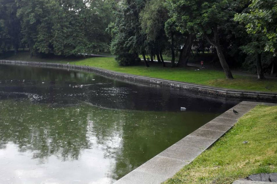 Прокуратура проверяет сообщение о загрязнении Верхнего озера мазутом (фото)