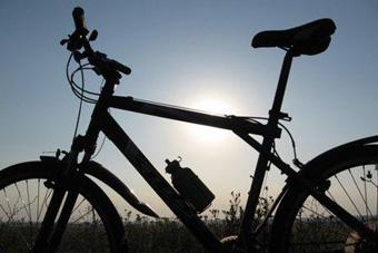 Велогонке «Тур де Франс» пытались помешать экоактивисты, приклеившие себя к асфальту