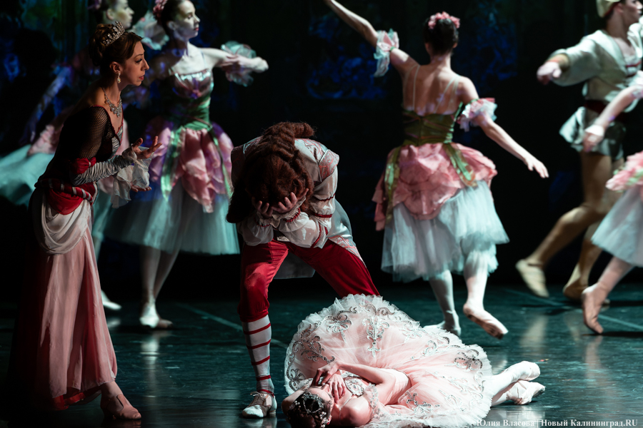 Неклассическая классика: как прошел второй день «Зимних каникул на Балтике» (фото)