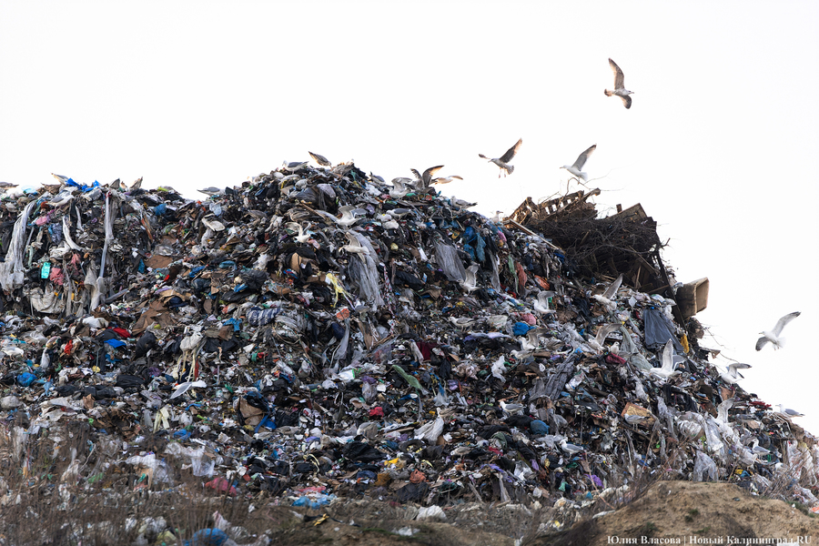 Астахова: полигон ТБО в Круглово рекультивируют не раньше 2030 года