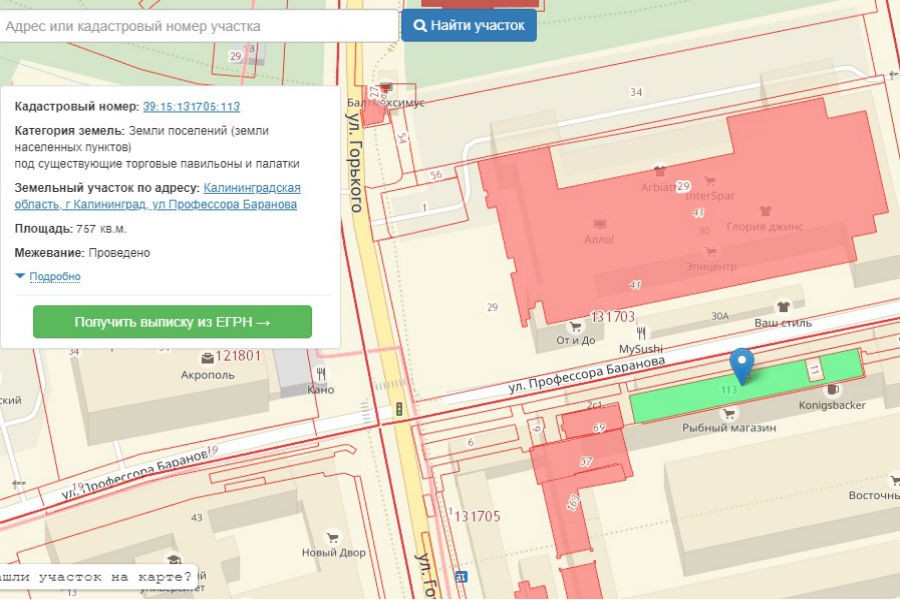 Скриншот публичной кадастровой карты