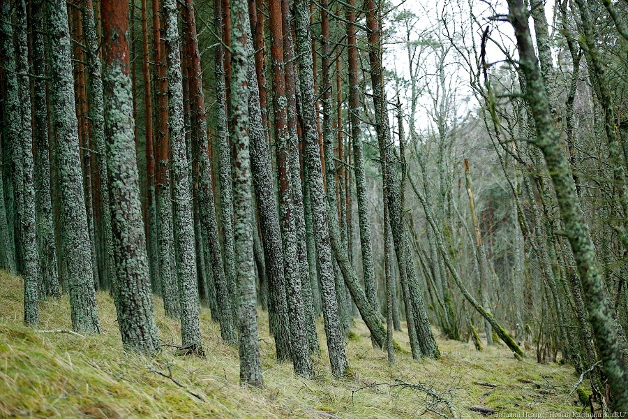Облвласти: Виштынец может принимать еще до 400 тыс туристов без ущерба экологии