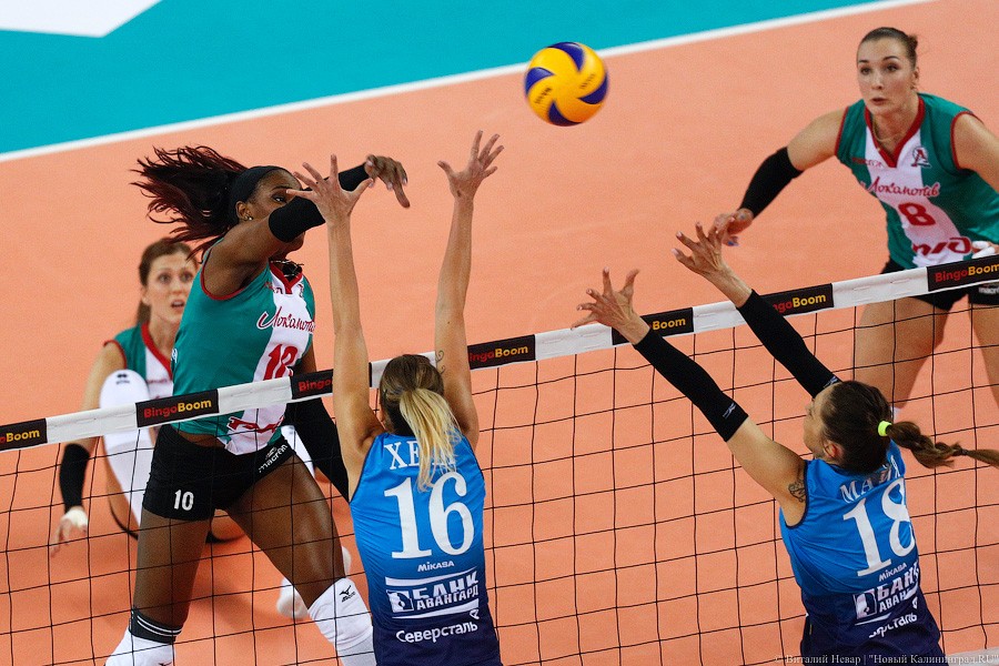 Два «Динамо» подряд: в Калининграде проходит волейбольный «Финал четырех» (фото)