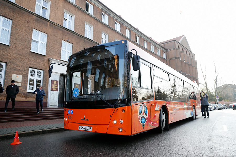 Верхом на трёхглазой змее: на калининградские автобусы нанесли символику ЧМ