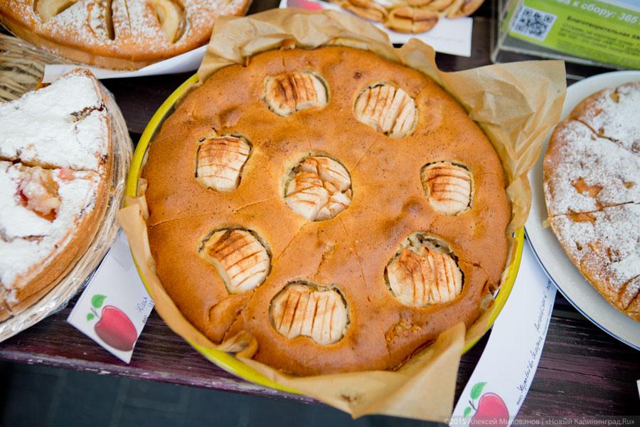 Сядь на пенёк, съешь пирожок: как прошел фестиваль шарлотки