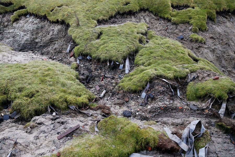 Резиденция на краю: берег в Пионерском рушится в море