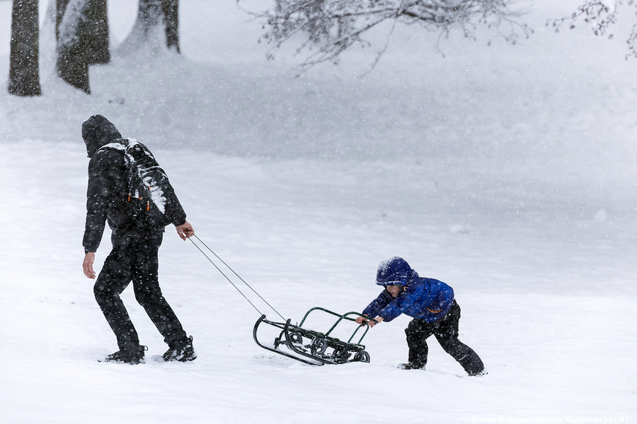 Пролетая на ватрушке: как в Центральном парке катаются с горки вопреки запретам (фото)