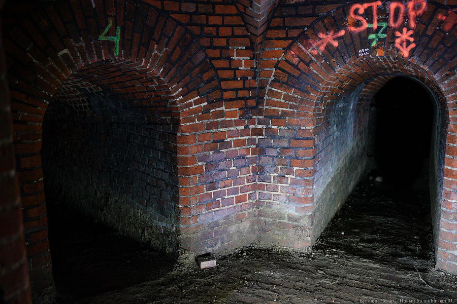 «Мы знали только о войне»: калининградец открывает музей ресторанной жизни Восточной Пруссии