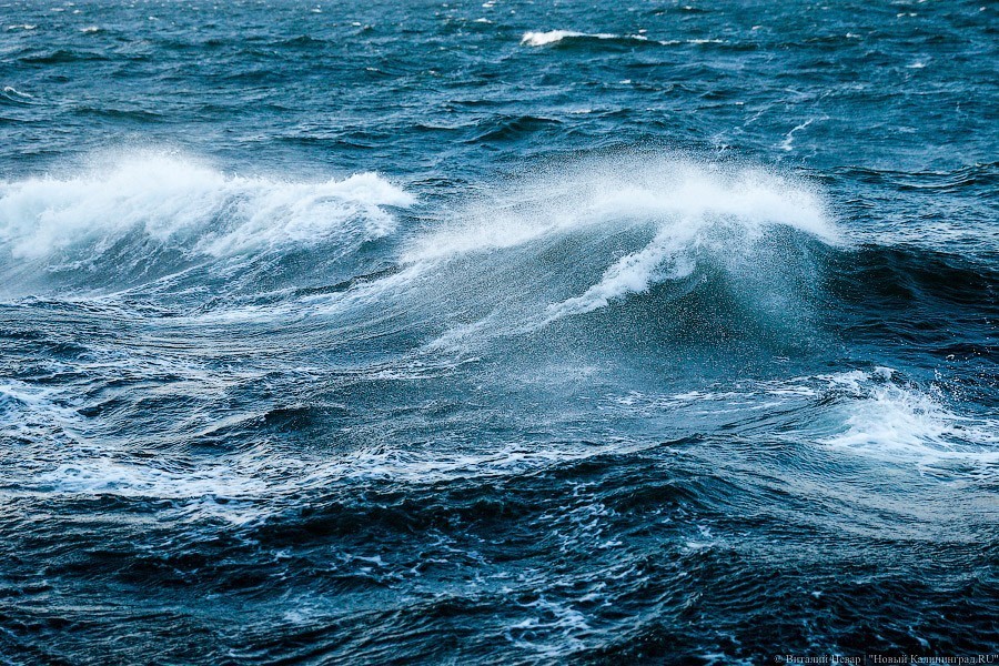 В Светлогорске ребенка утащило в море волной, его вытащили спасатели