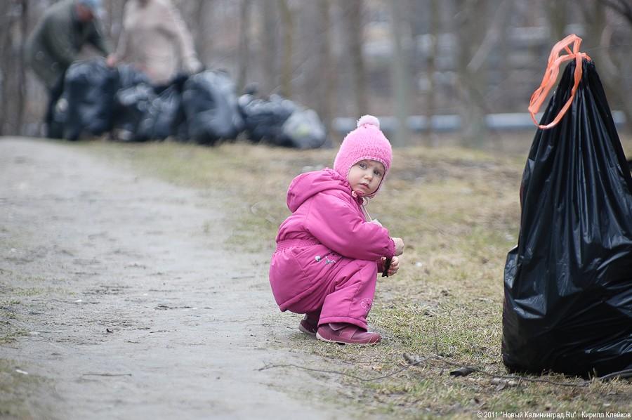 "Чистый лес: 115 на 40": фоторепортаж "Нового Калининграда.Ru" 